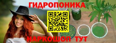 дживик Берёзовский