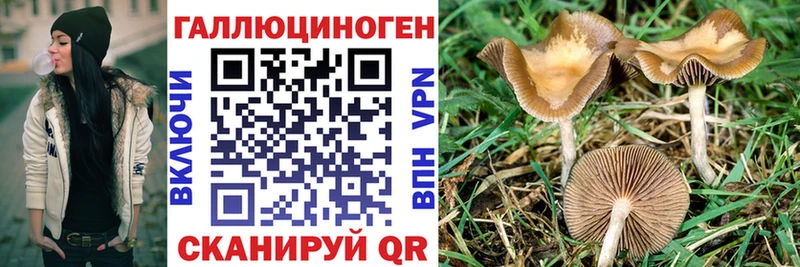 МЕГА ONION  Братск  Псилоцибиновые грибы мухоморы 