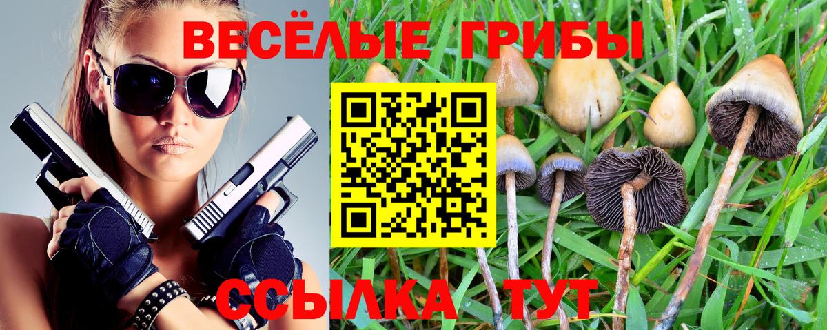 Галлюциногенные грибы ЛСД  Галлюциногенные грибы Cubensis  сколько стоит  Братск  Вход с VPN 