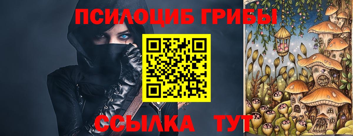 Галлюциногенные грибы Cubensis  Братск 